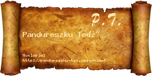 Pandureszku Teó névjegykártya